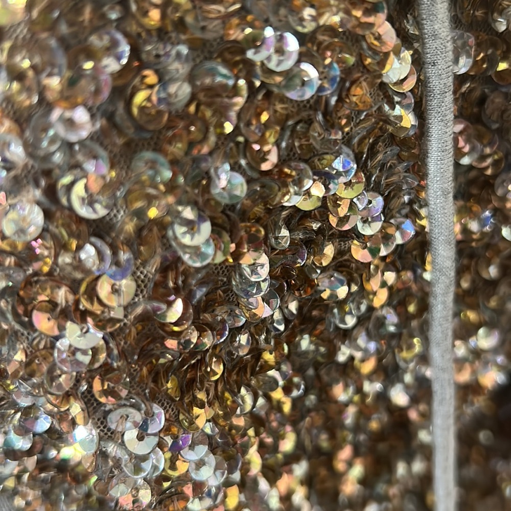 Joie, sparkling gold and silver jacket, size small